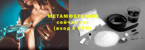 прущие грибы Абаза
