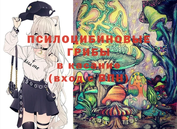 сатива Алзамай